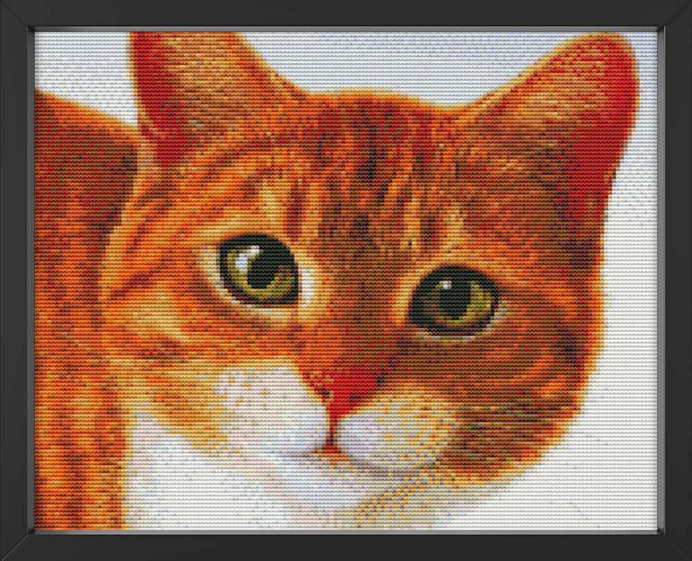 Kreuzstich - Katzenportrait | 35x35 cm - Diy - Fadenkunst